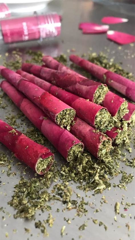 rose joint bunnings